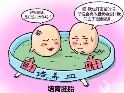 高齡女性真的不能做試管嬰兒了嗎？