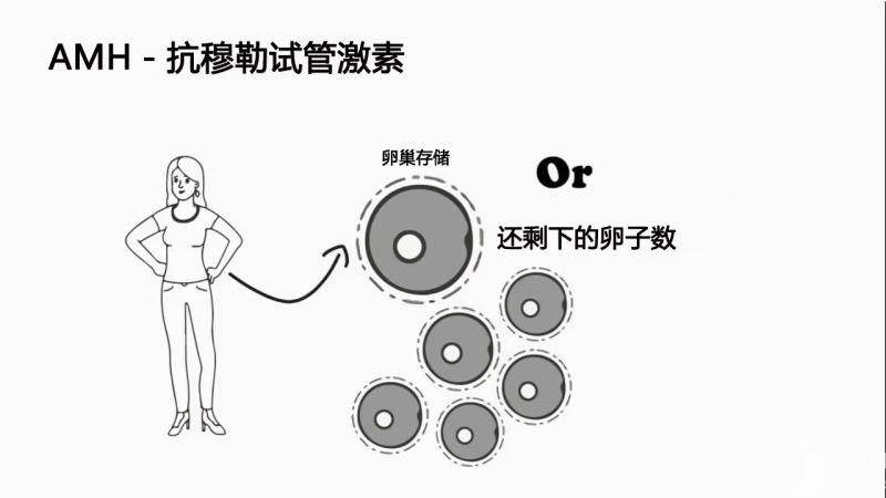 高齡女性如何提高AMH呢？