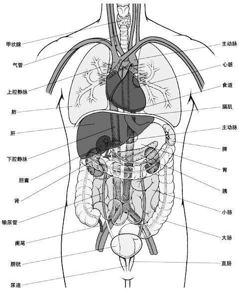 中醫(yī)灌腸竟然可以治療輸卵管粘連！