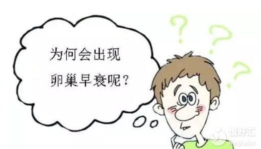 FSH值過高，一定是卵巢早衰嗎？