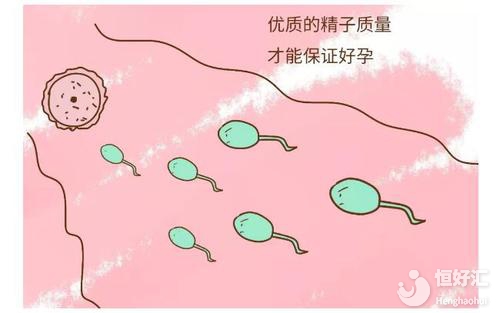 試管嬰兒獲取卵子數量跟什么因素有關？