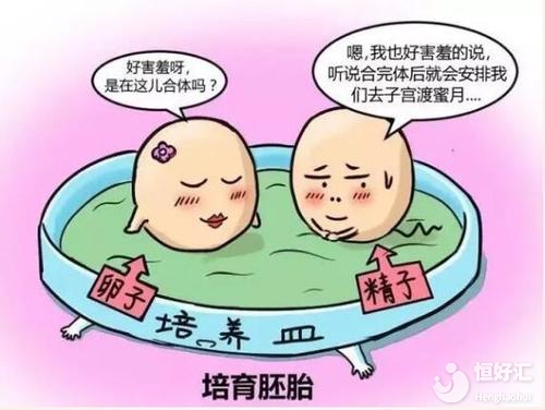 試管嬰兒當中，照顧胚胎的“天使”是怎么工作的？