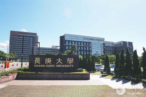 長庚大學