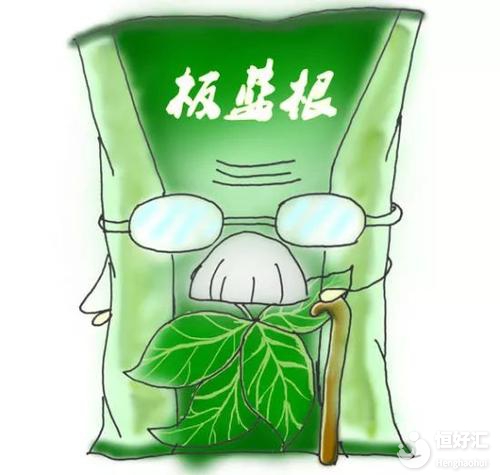 備孕感冒怎么辦？試管媽媽可以喝板藍(lán)根嗎？