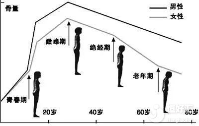 缺少雌性激素也要做試管嬰兒？會不會有影響？