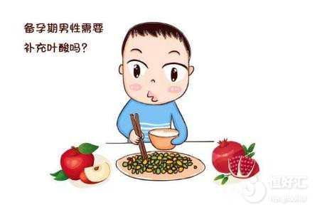 美國試管嬰兒備孕期間，男性要吃葉酸嗎？