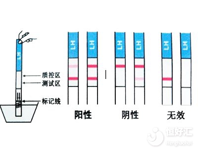 檢查懷孕的常見輔助方法，你了解過幾種？