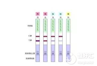 排卵試紙什么時候測最準？建議選擇這兩個時間！