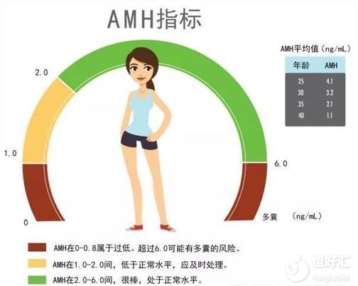 amh值有可能回升嗎？懷孕難或許另有原因