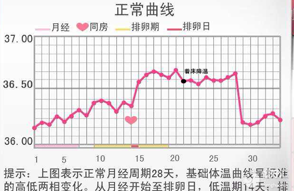 著床降溫只有0.2度？附標(biāo)準(zhǔn)的著床降溫體溫圖！