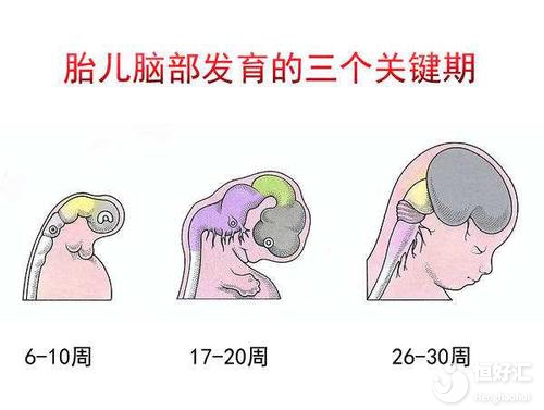 做胎教真的讓寶寶變聰明？醫生這句話打破所有幻想