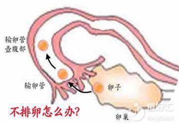 不排卵或許會出現這些癥狀，你發現了嗎？