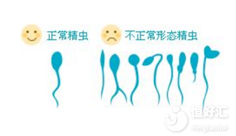 精子畸形率高會造成胎兒畸形?麻煩別太無知了