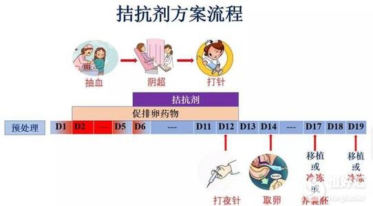 盤點拮抗劑方案的注意事項，這幾點很多人不知道