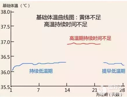 黃體酮分泌過多過少都有問題，你還在忽視嗎？