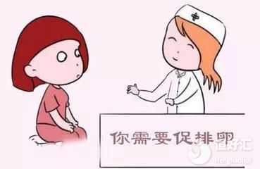 試管嬰兒促排多少個卵泡最好？這個數(shù)量或許最好