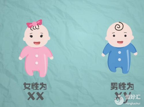 你知道生男生女誰說了算嗎？看完這個別再怪女人了