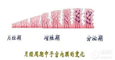 子宮內(nèi)膜增厚的常見原因，說出來你別不信！