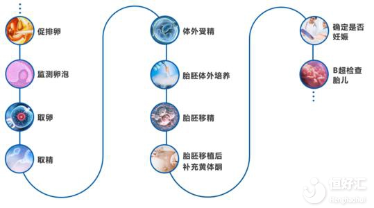 你知道試管嬰兒是怎么定方案的嗎？請看這個