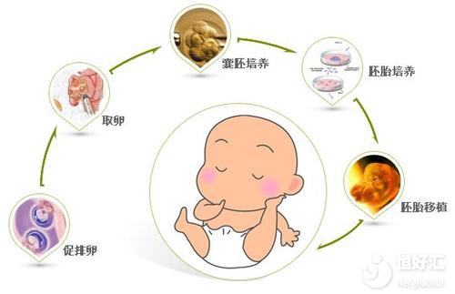 如何保證凍胚移植成功？看完不要太意外