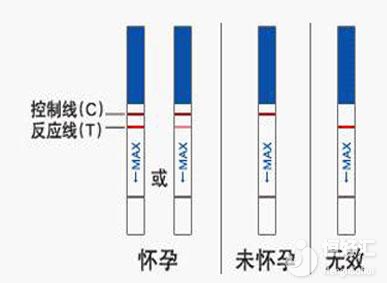 懷孕幾天能測出來？時間或許比你想象的要短