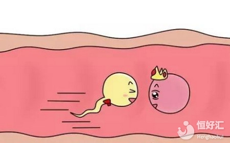 怎樣備孕懷孕最快？這份好孕經驗分享給你