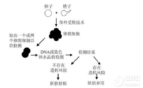 三代試管嬰兒和一二代有什么區別？說出來別不信