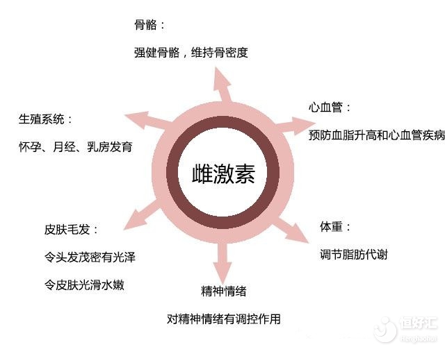 <strong>雌激素過(guò)多好不好？是不是會(huì)是女性更有吸引力</strong>