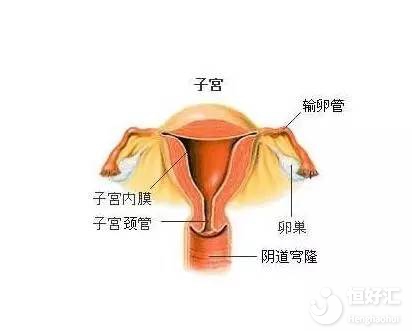 女性反復流產可以選擇做試管嬰兒嗎?