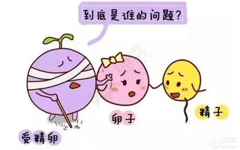 <strong>試管嬰兒卵子質量真的沒有辦法提升嗎？</strong>