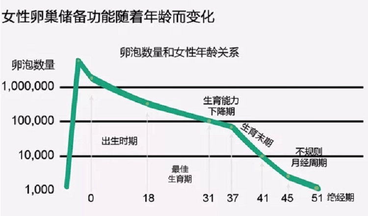 卵巢一生中是如何變化的？找到卵巢早衰的6大“元兇”，該謹記了