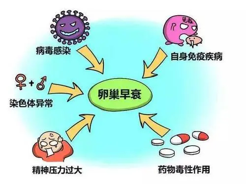 卵巢出現早衰的6個癥狀，女性留意下自己的身體