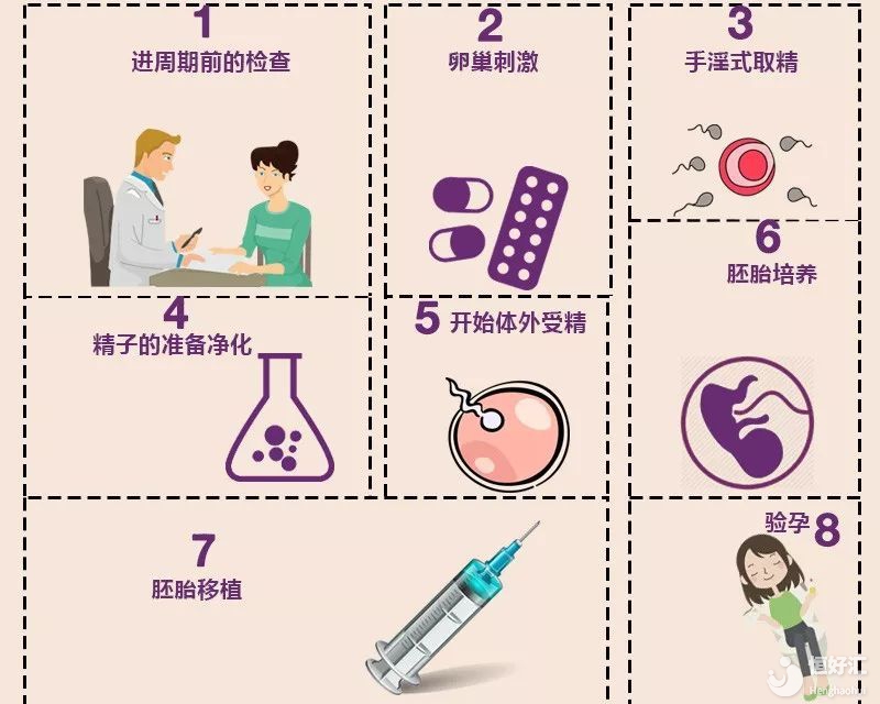 試管嬰兒的步驟、預(yù)算和時間管理